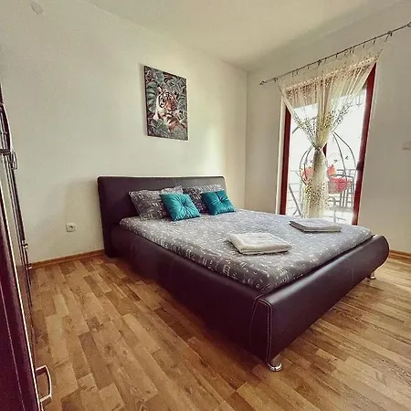 Apartment Petrovic *