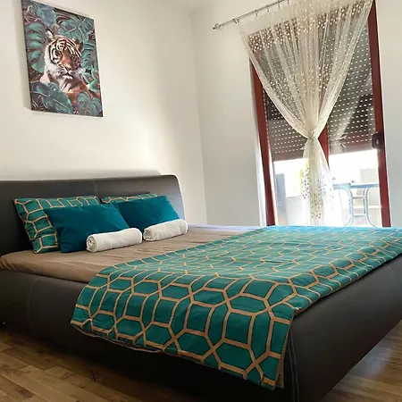 Apartment Petrovic *